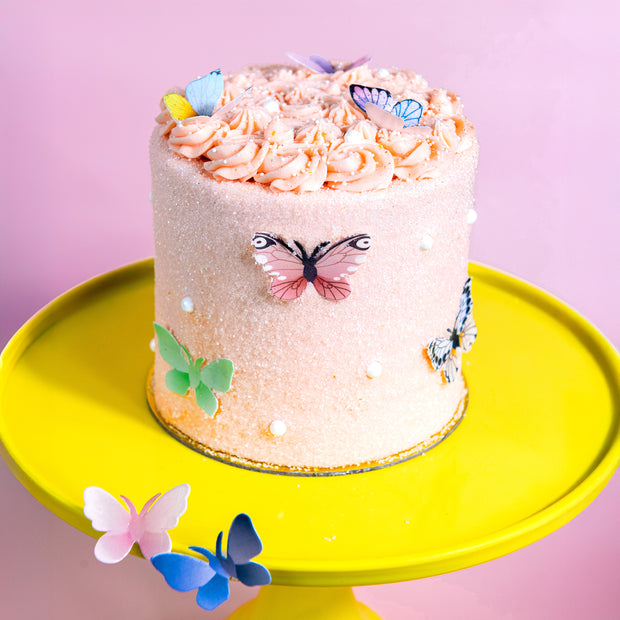 Beautiful Butterfly Cake