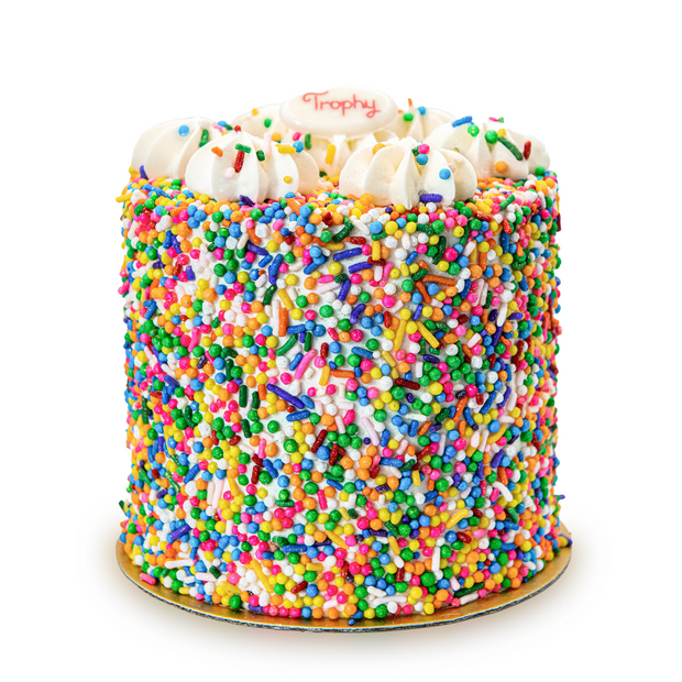 Yumfetti Party Cake