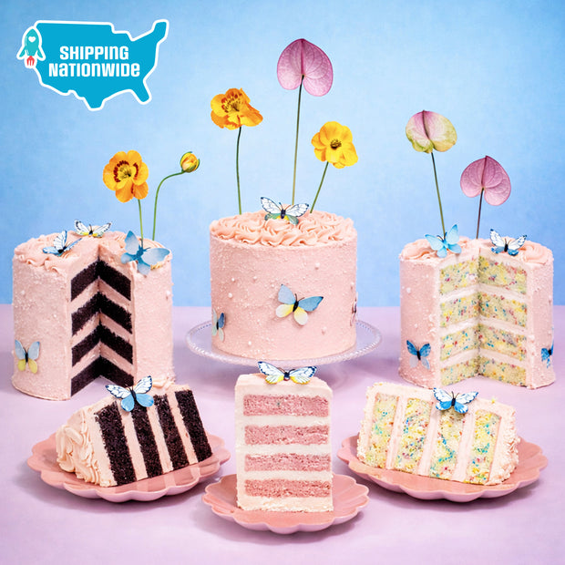 Beautiful Butterfly Cake