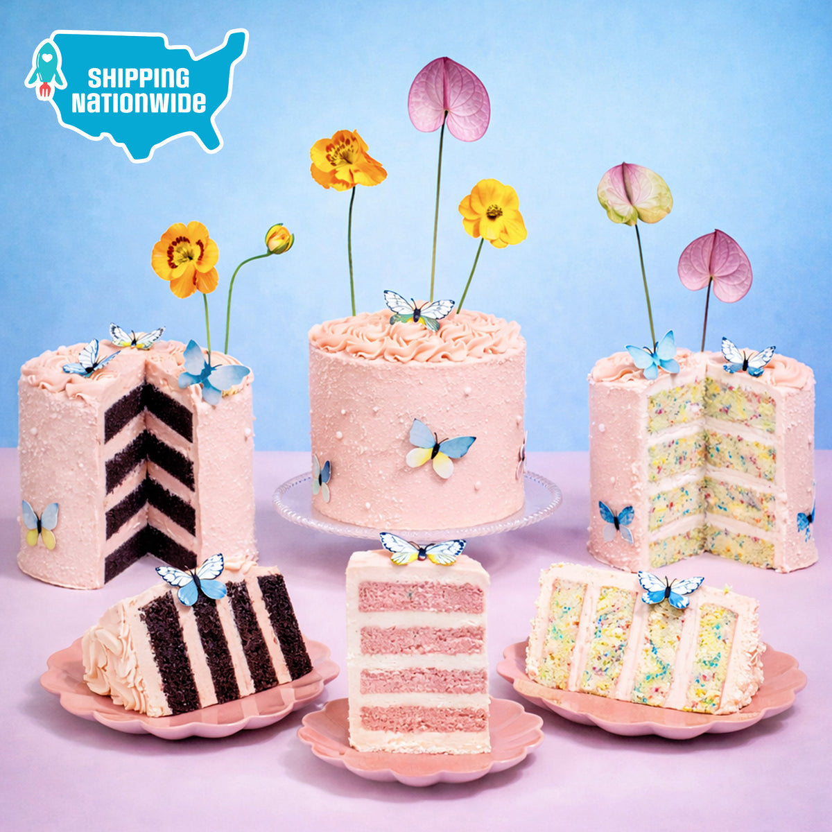 Beautiful Butterfly Cake display with whole and sliced cakes, butterflies and flowers, with a Shipping Nationwide badge