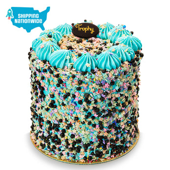 Chocolate Party Cake