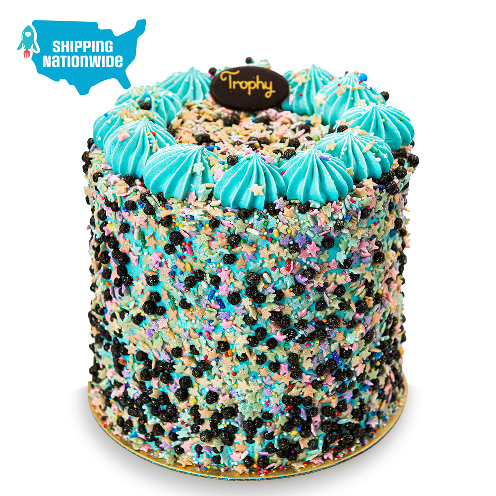 Chocolate Party Cake