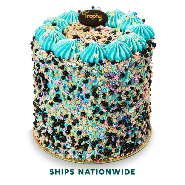 Chocolate Party Cake