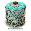 Chocolate Party Cake
