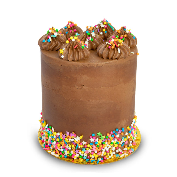 Vegan Chocolate Party Cake-Trophy Cupcakes