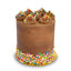 Vegan Chocolate Party Cake-Trophy Cupcakes