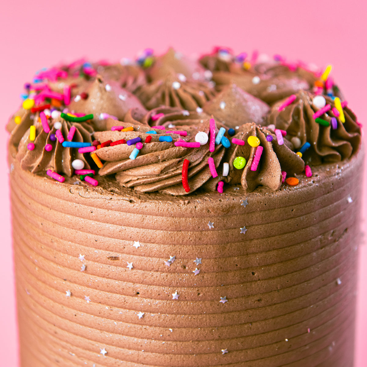 Vegan Chocolate Party Cake