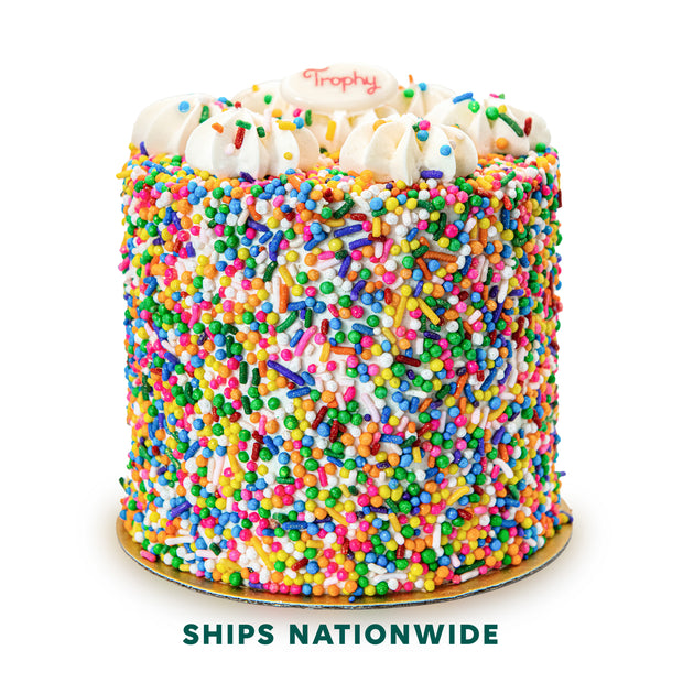 Yumfetti Party Cake