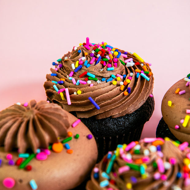 Chocolate Vegan Party Four-Pack