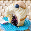 Washington Blueberry Pie