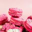 Circus Animal Macaron