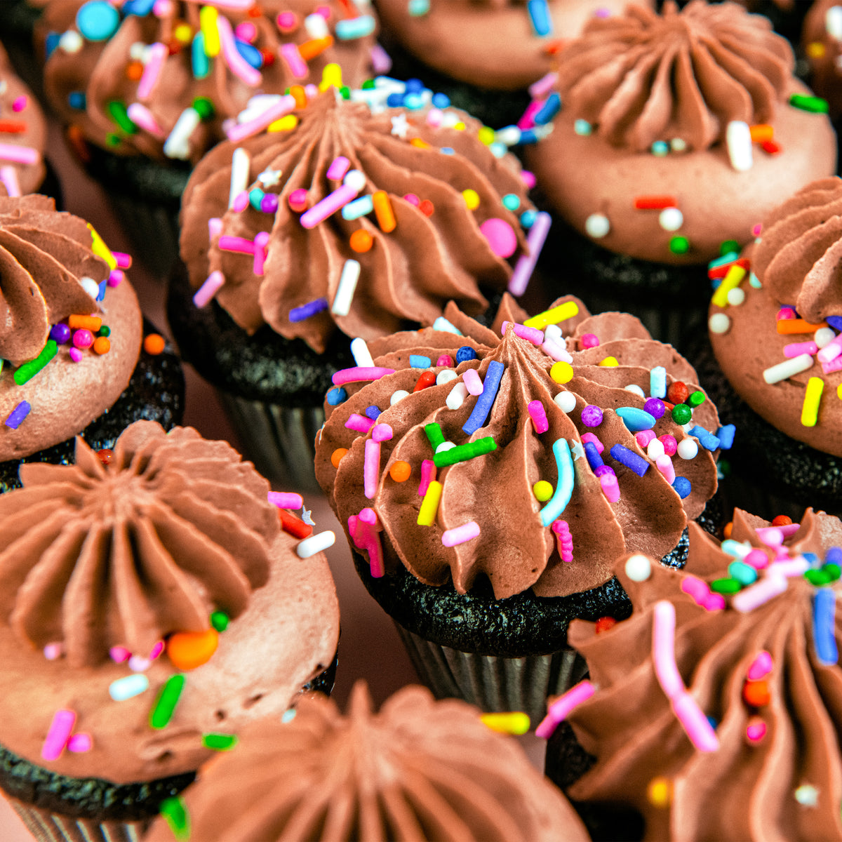 Close-up of mini chocolate cupcakes with swirled chocolate frosting and rainbow sprinkles