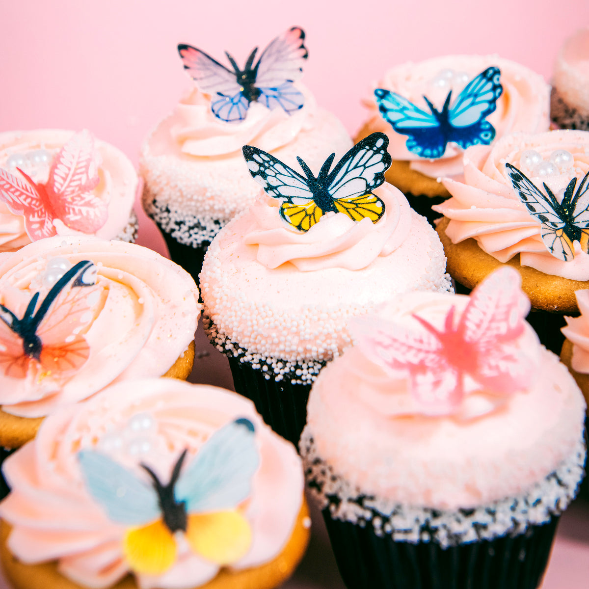 Butterfly Dozen