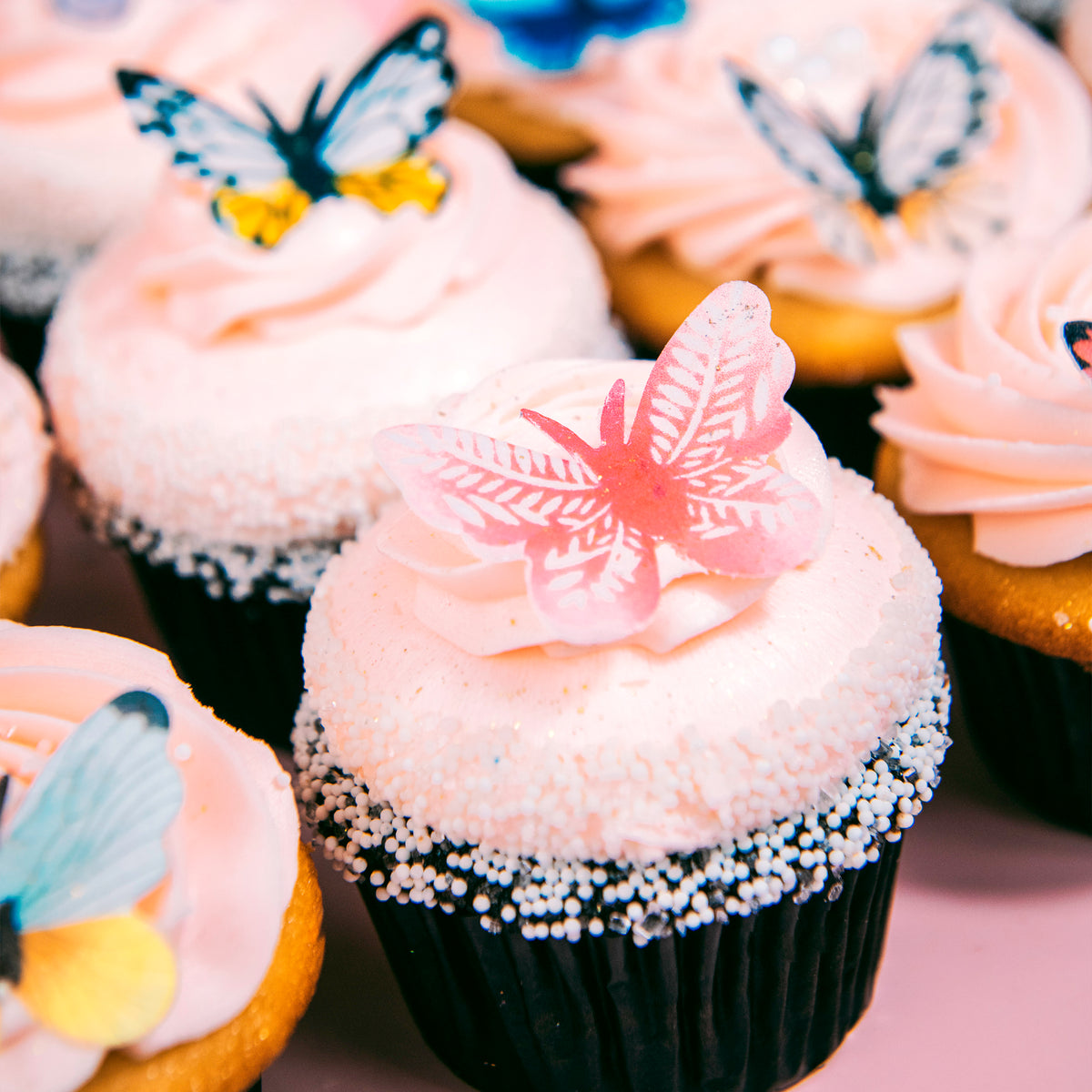 Butterfly Dozen