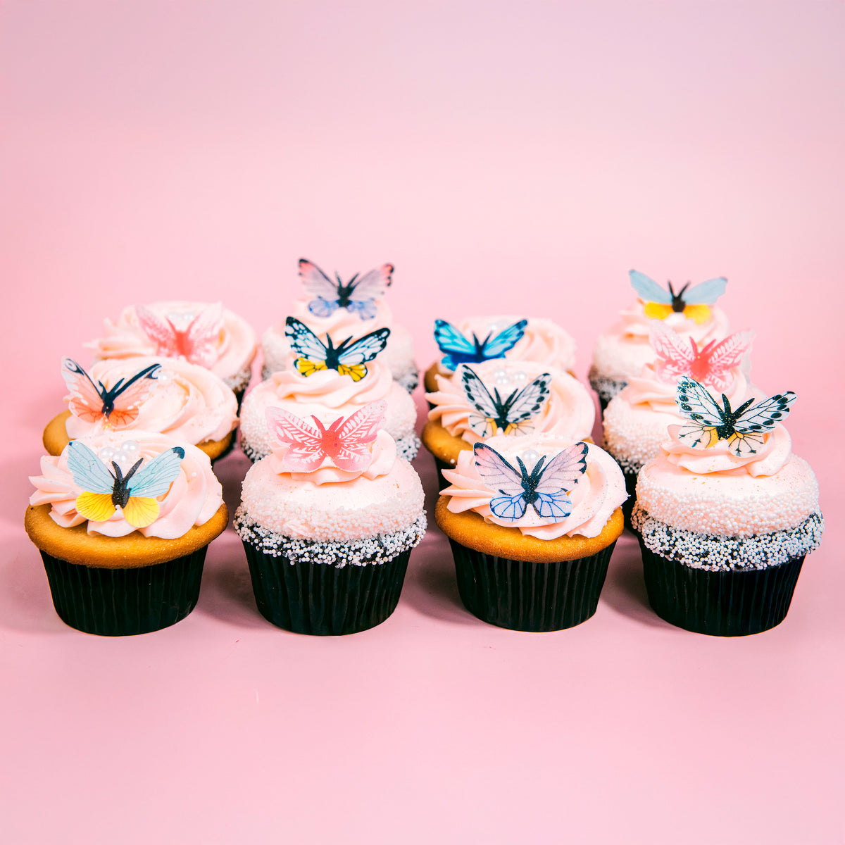 Butterfly Dozen