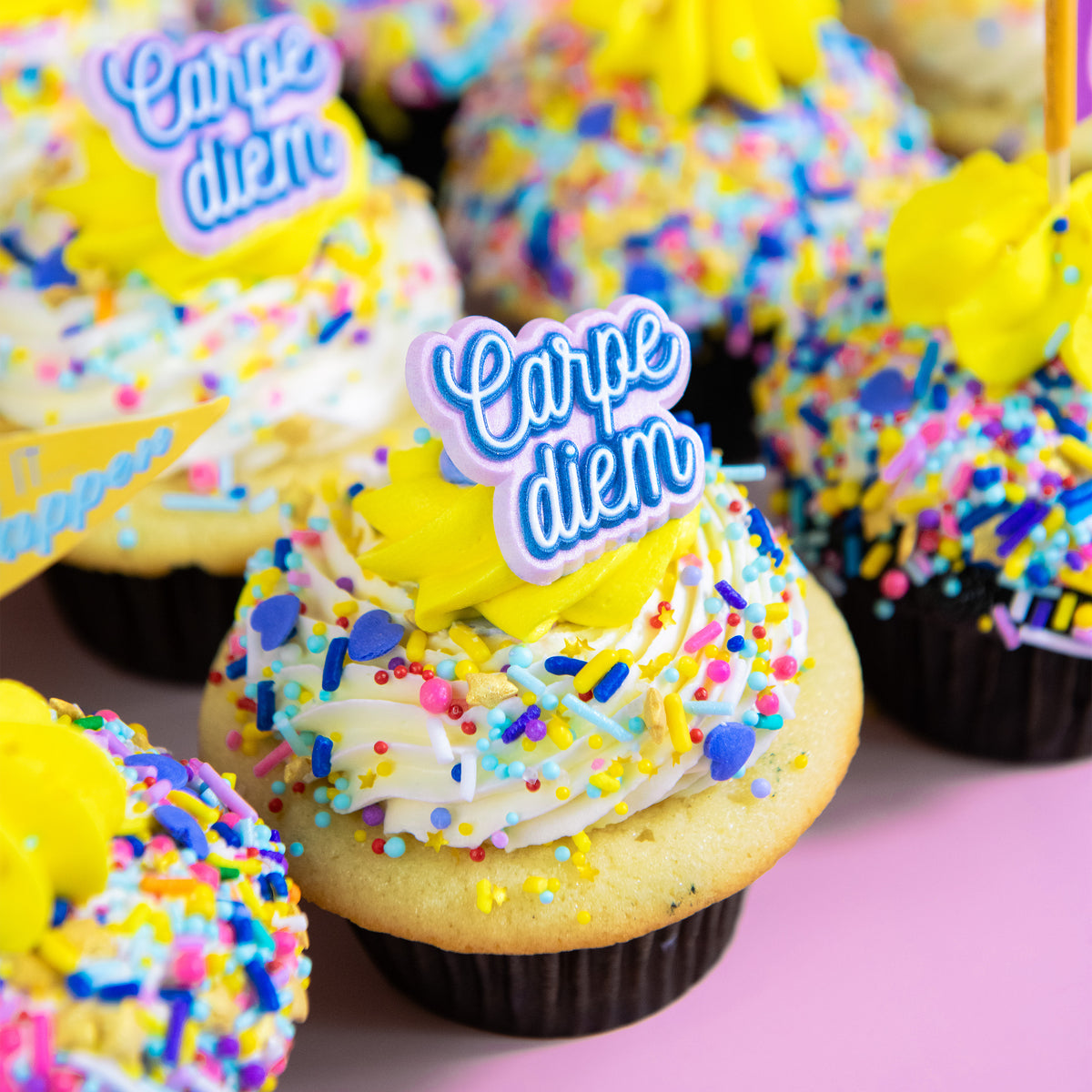 Carpe Diem Graduation Dozen
