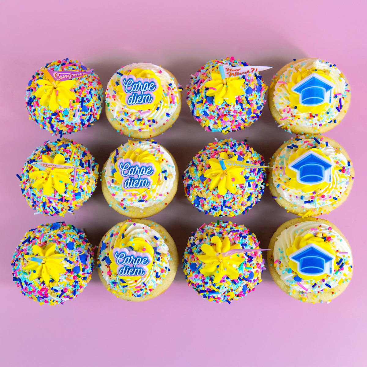 Carpe Diem Graduation Dozen