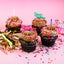 Chocolate Vegan Party Four-Pack