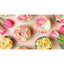 Garden Party Dozen
