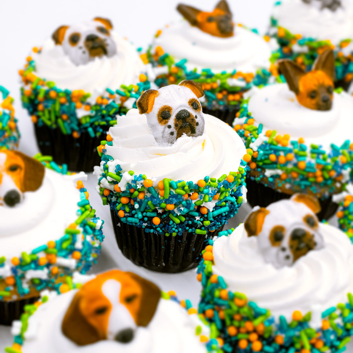 Cupcakes topped with sugar dog faces, white frosting and blue, green and orange sprinkles