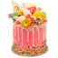Pink Magic Cake-Trophy Cupcakes