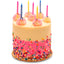 Pink Sprinkle Birthday Cake