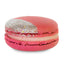 Raspberry Champagne Macaron-Trophy Cupcakes