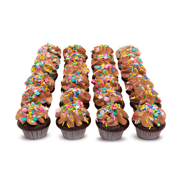 2 Dozen Chocolate Vegan Party Minis-Trophy Cupcakes
