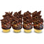24 Karat Chocolate Dozen-Trophy Cupcakes