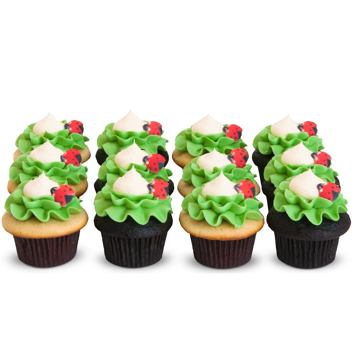 Get lucky with Lovely Ladybugs Dozen Cupcakes – Trophy Cupcakes