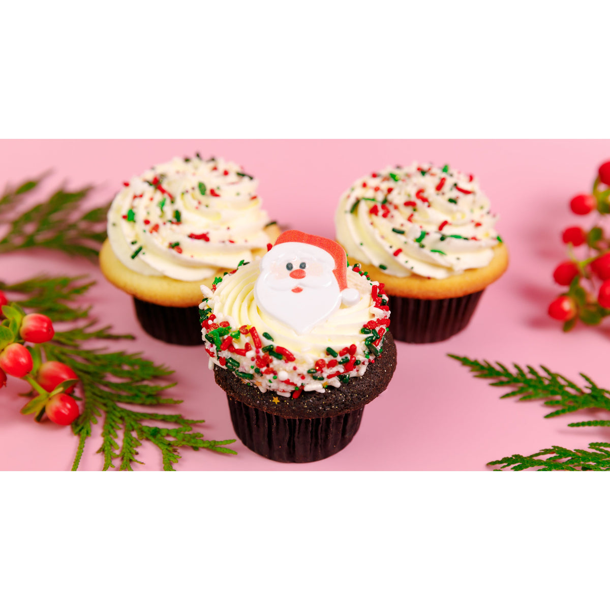 Sweet Santa Dozen-Trophy Cupcakes