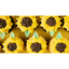 Sunflower Dozen