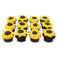 Sunflower Dozen